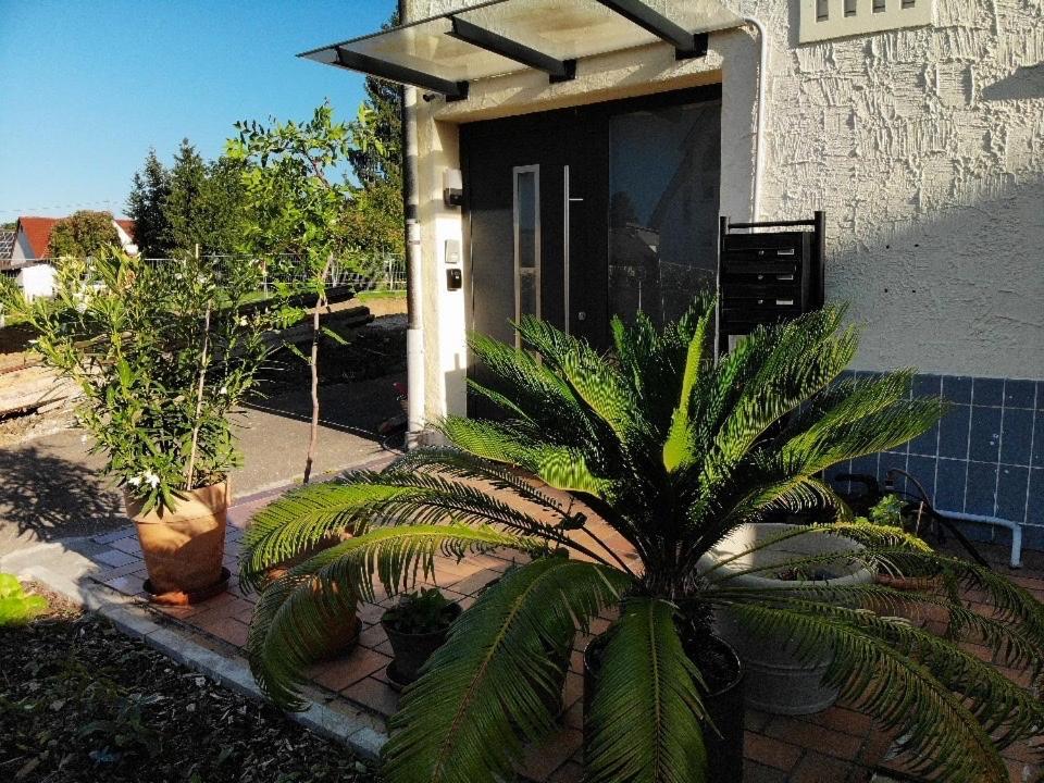Sonnige 3 Zimmer Wohnung Mit Schoenem Balkon Im Gruenen Reutlingen Ngoại thất bức ảnh